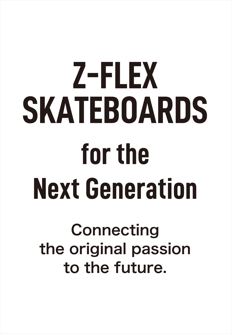 Z-FLEX catalog