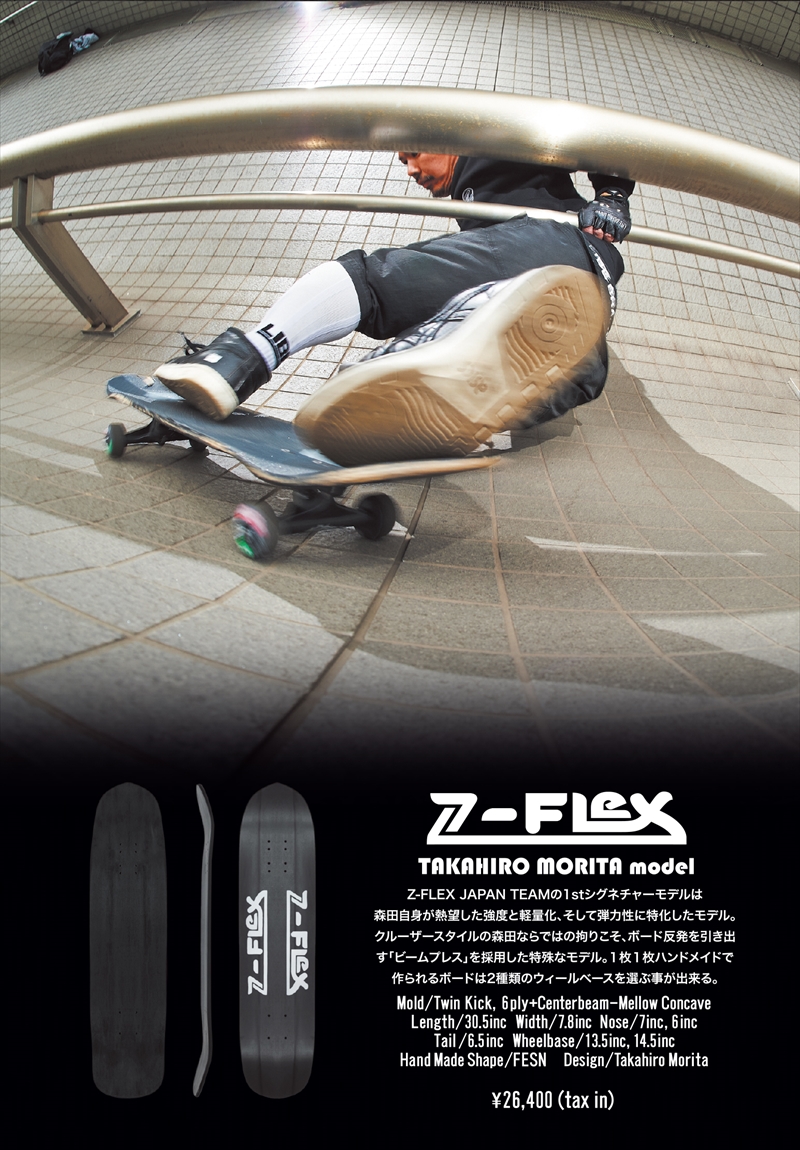 Z-FLEX catalog